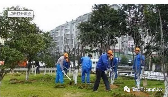 住建部印發(fā)《園林綠化工程建設(shè)管理規(guī)定》